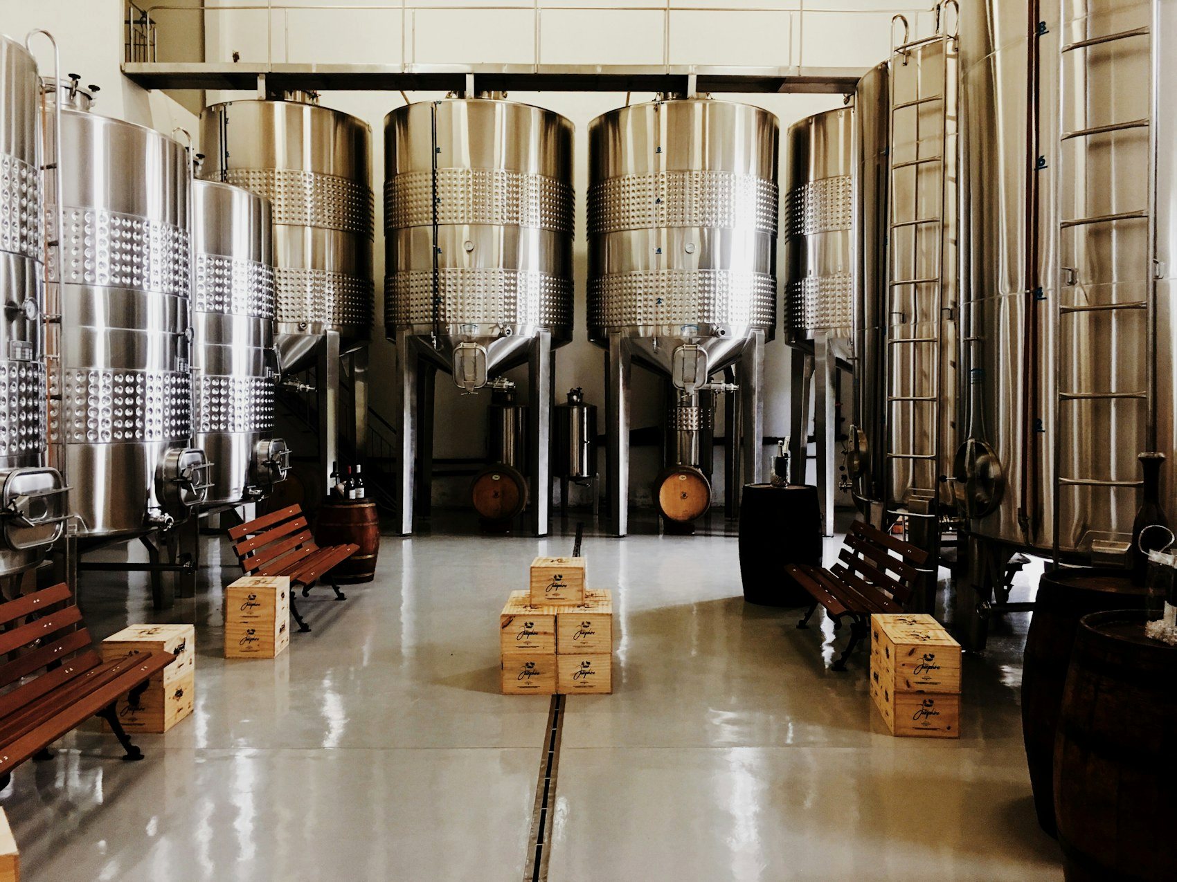 Rows of stainless steel bioreactor tanks inside a production facility